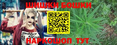 сатива Нарткала