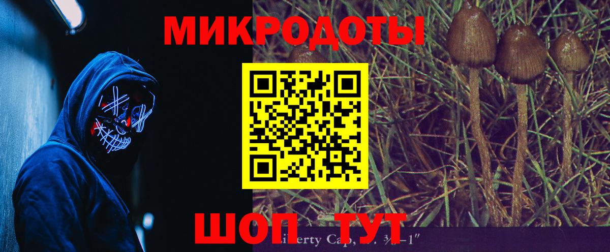 Галлюциногенные грибы Psilocybine cubensis Рыбинск